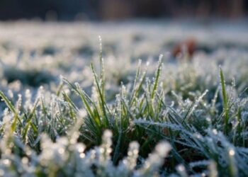 Синоптики попереджають про заморозки у Запоріжжі