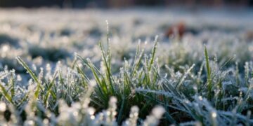 Синоптики попереджають про заморозки у Запоріжжі