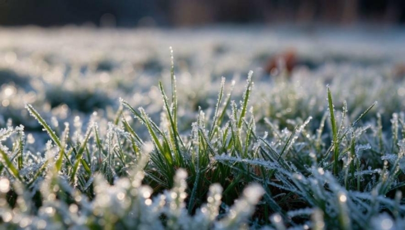Синоптики попереджають про заморозки у Запоріжжі