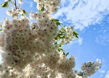 Якою буде погода в Одесі на початку травня