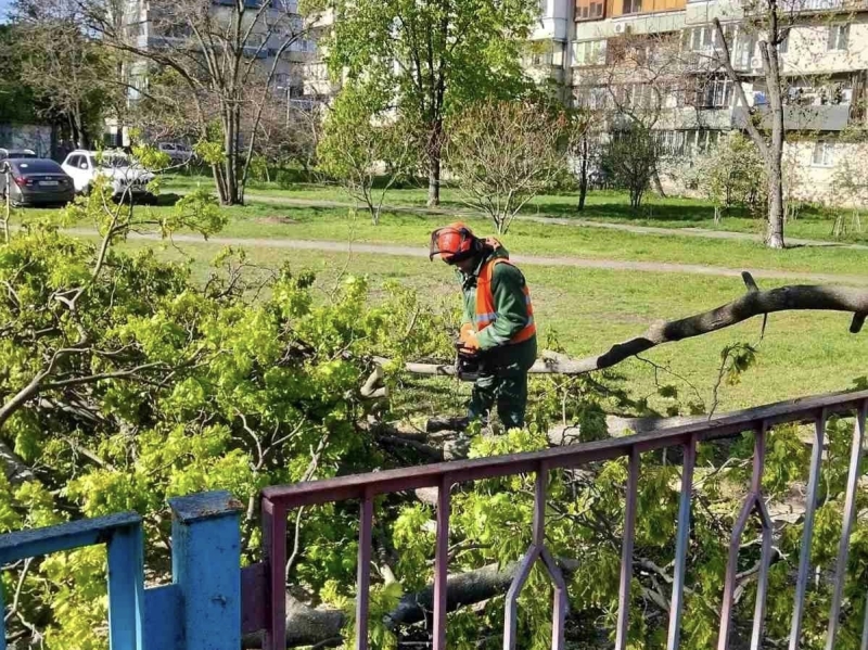 Наслідки буревію у Києві: комунальники назвали кількість повалених дерев (фото)