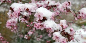 Після +20 прийде мокрий сніг: Україну накриє різке похолодання і заморозки