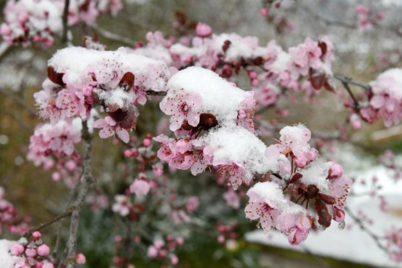 Після +20 прийде мокрий сніг: Україну накриє різке похолодання і заморозки