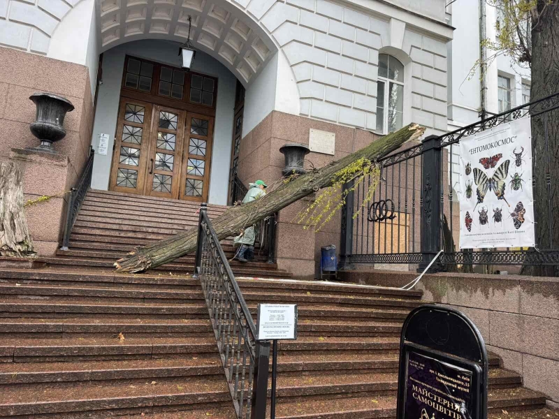 Наслідки буревію у Києві: комунальники назвали кількість повалених дерев (фото)