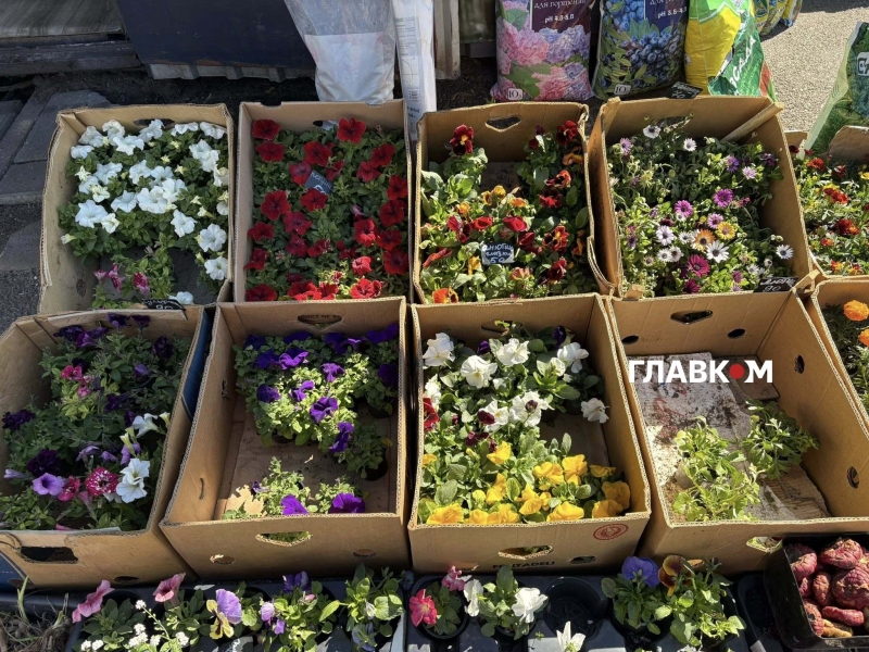 Поминальні дні 2026. Скільки коштують пластикові та живі квіти у Києві (репортаж)