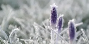 В Україну ідуть дощі з мокрим снігом та нічні заморозки: синоптики попередили про похолодання