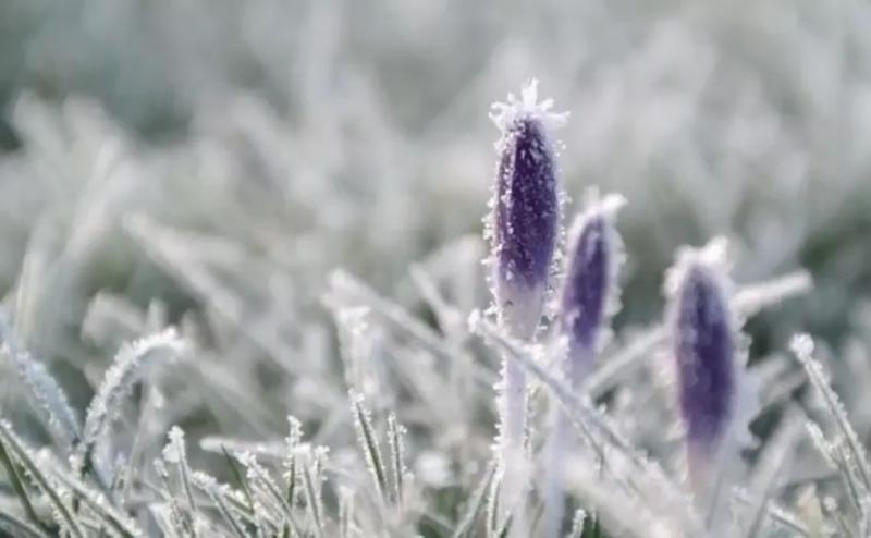 В Україну ідуть дощі з мокрим снігом та нічні заморозки: синоптики попередили про похолодання