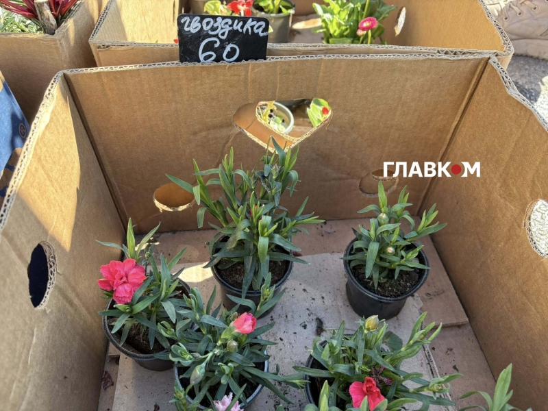 Поминальні дні 2026. Скільки коштують пластикові та живі квіти у Києві (репортаж)