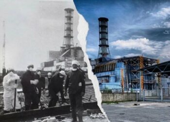 Мертва територія з мутантами: 9 міфів про наслідки Чорнобильської катастрофи, які варто розвіяти