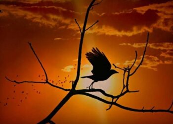 Магнітна буря 26 квітня: як вберегтися і пережити без наслідків