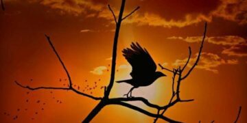 Магнітна буря 26 квітня: як вберегтися і пережити без наслідків