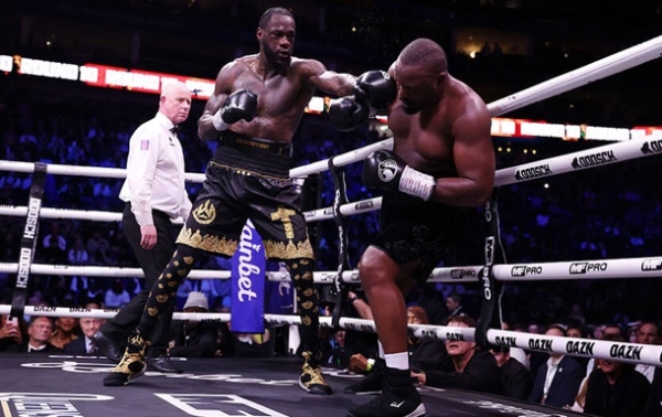 Вайлдер переміг Чісору розділеним рішенням суддів Вайлдер переміг Чісору розділеним рішенням суддів