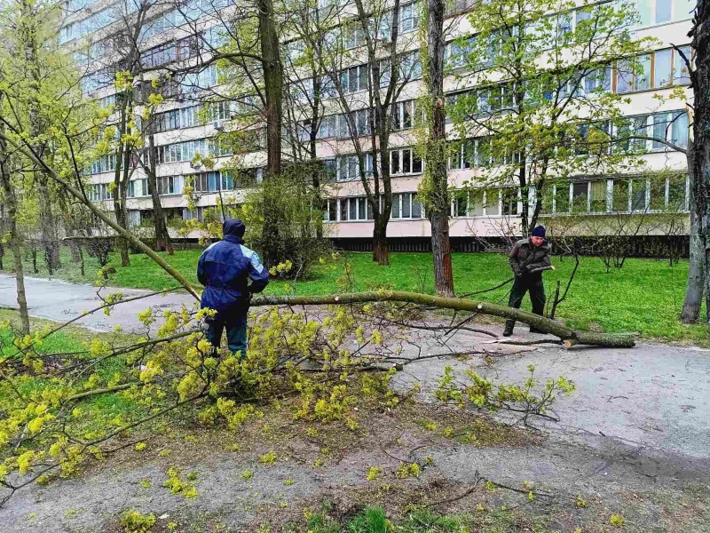 Наслідки буревію у Києві: комунальники назвали кількість повалених дерев (фото)