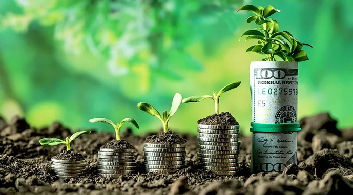 А в цей час стало відомо, які оголошені програми підтримки фермерів можуть не отримати у цьому 2026 році реального фінангсування