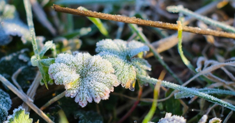 Прохолода, дощи и заморозки: прогноз погоды на 21 квітня
