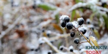 Грози, сніг та заморозки. Якою буде погода в Харкові на Великдень