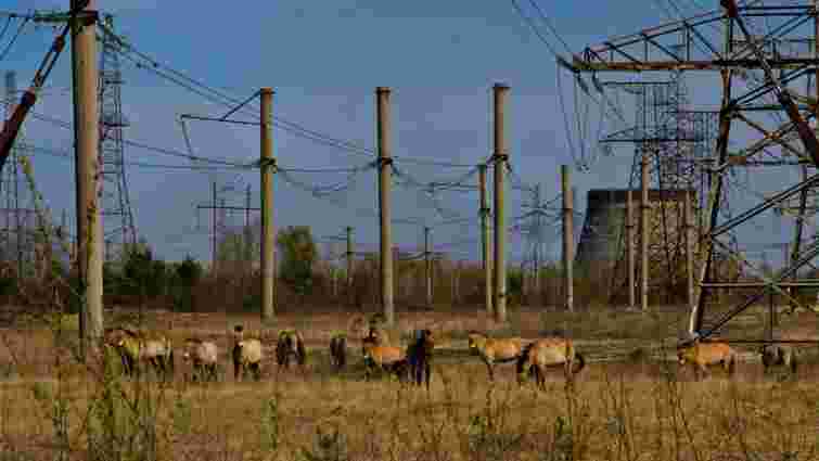 Чорнобильська катастрофа: 40 років трагедії, яка потрясла та змінила весь світ