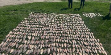 На Одещині затримали рибалку з забороненими сітками