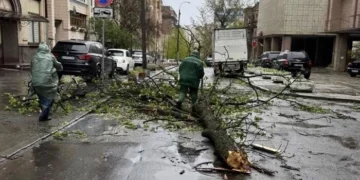 Наслідки буревію у Києві: комунальники назвали кількість повалених дерев (фото)