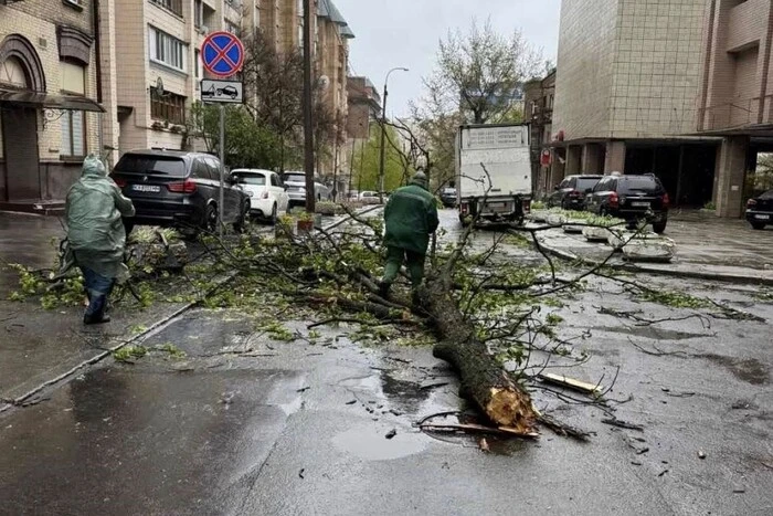 Наслідки буревію у Києві: комунальники назвали кількість повалених дерев (фото)