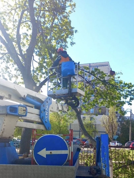 Наслідки буревію у Києві: комунальники назвали кількість повалених дерев (фото)