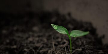 Суперкомп’ютер NASA назвав приблизну дату кінця життя на Землі