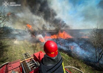 На Одещині не вщухають пожежі в екосистемах: вже мільйонні втрати