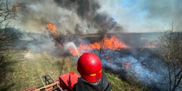 На Одещині не вщухають пожежі в екосистемах: вже мільйонні втрати
