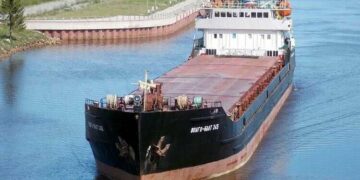 В Азовському морі затонуло судно з пшеницею: окупанти заявили про атаку БпЛА