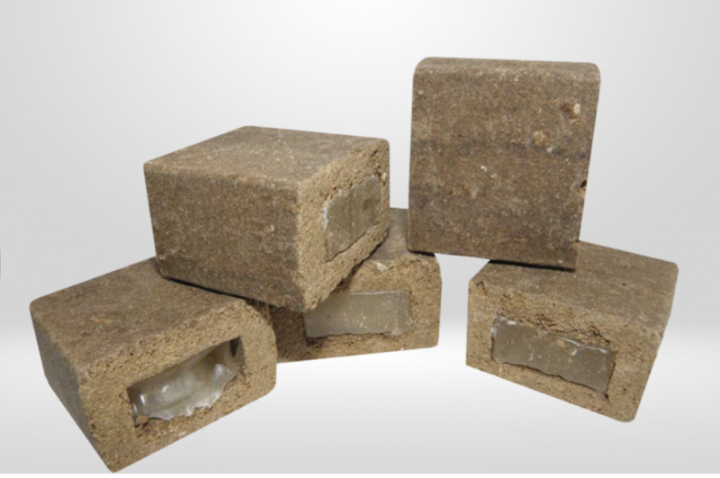 У Запорізькій області проведуть вакцинацію диких тварин від сказу