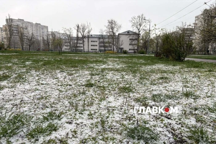 Заморозки на Київщині та у столиці: оголошено помаранчевий рівень небезпеки
