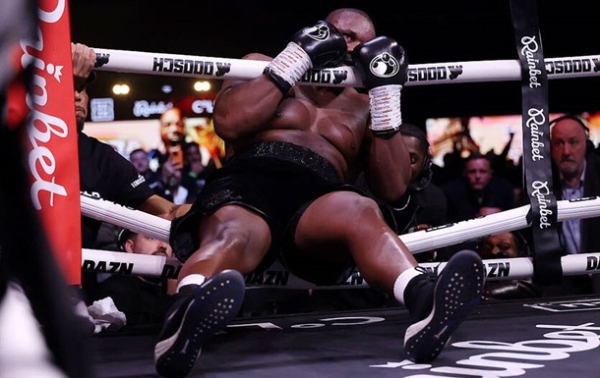 Стало відомо, чи покарають рефері бою Вайлдер - Чісора