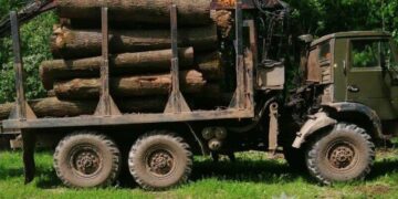 “4 млн гривень збитків”: на Тернопільщині судитимуть підприємця та працівника лісового господарства (ФОТО)