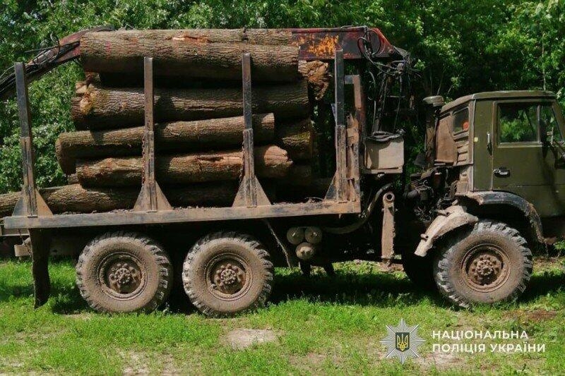 "4 млн гривень збитків": на Тернопільщині судитимуть підприємця та працівника лісового господарства (ФОТО)