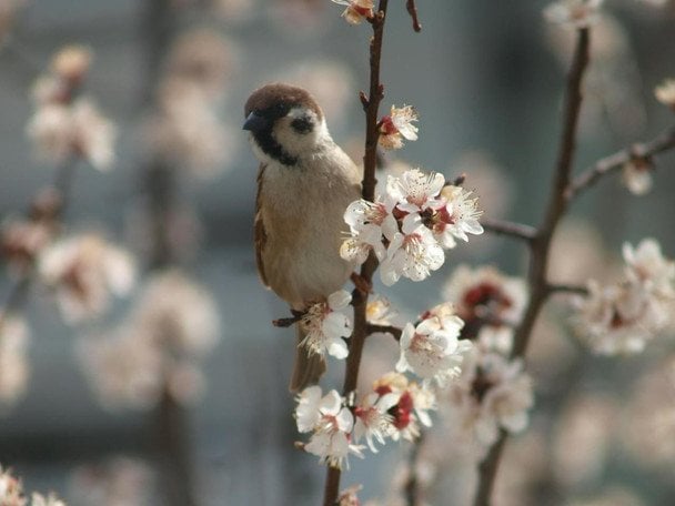 Заморозки до -5&deg;: де в Україні різко похолодає найближчими днями