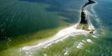 Фіктивні працівники і «бронь»: ексдиректору нацпарку на Миколаївщині оголосили підозру