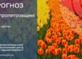 «Хай холодяка сказиться!» – Наталя Діденко про погоду 24 квітня