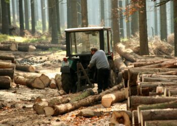 Хитромудрі урядові «слуги» пнуться донищити рештки живої природи