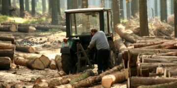 Хитромудрі урядові «слуги» пнуться донищити рештки живої природи