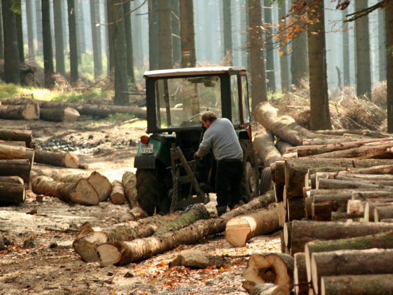 Хитромудрі урядові «слуги» пнуться донищити рештки живої природи