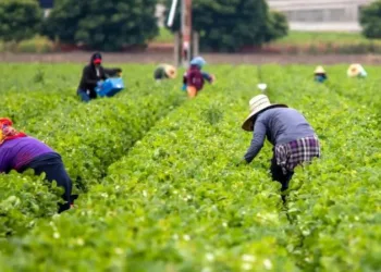 Мине ще трохи часу і іноземні наймані працівники стануть звичним явищем в степах України