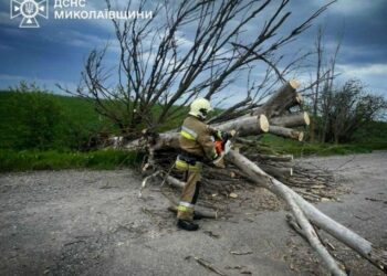 Негода на Миколаївщині: рятувальники 11 разів виїжджали на ліквідацію наслідків, – ФОТО