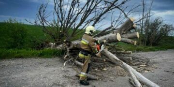 Негода на Миколаївщині: рятувальники 11 разів виїжджали на ліквідацію наслідків, – ФОТО