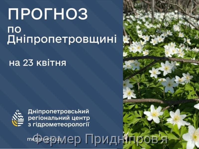 Погода у Січеславщині 23 квітня