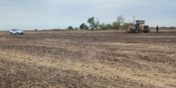 Розорав курган заради поля: на Миколаївщині судитимуть агронома