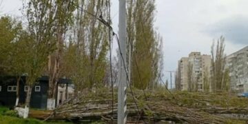 У Миколаєві ліквідовують наслідки негоди: у місті повалено дерева, – ФОТО