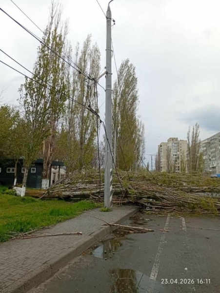 У Миколаєві ліквідовують наслідки негоди: у місті повалено дерева, - ФОТО