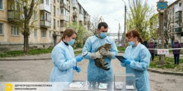 У Миколаєві виявили сказ: в одному із районів запровадили карантин