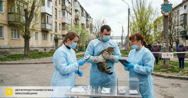 У Миколаєві виявили сказ: в одному із районів запровадили карантин
