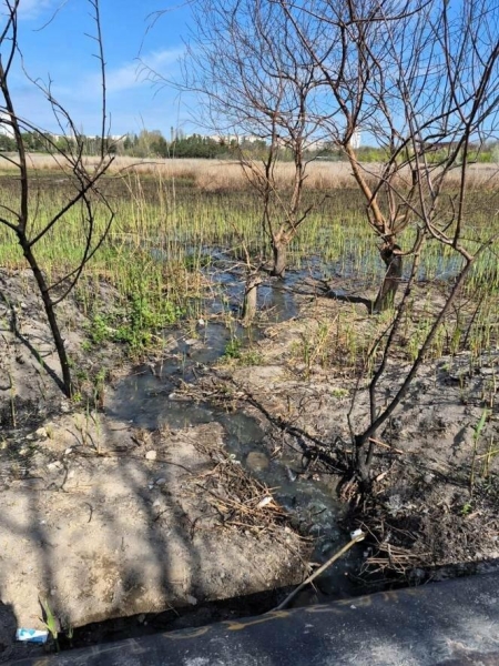 У миколаївському парку &laquo;Ліски&raquo; зафіксували витік із колодязів: перевіряють можливе забруднення, - ФОТО